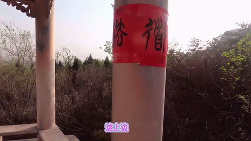 清徐服務區(qū)新發(fā)現(xiàn) 共享自行車服務，旅途中的便捷新選擇